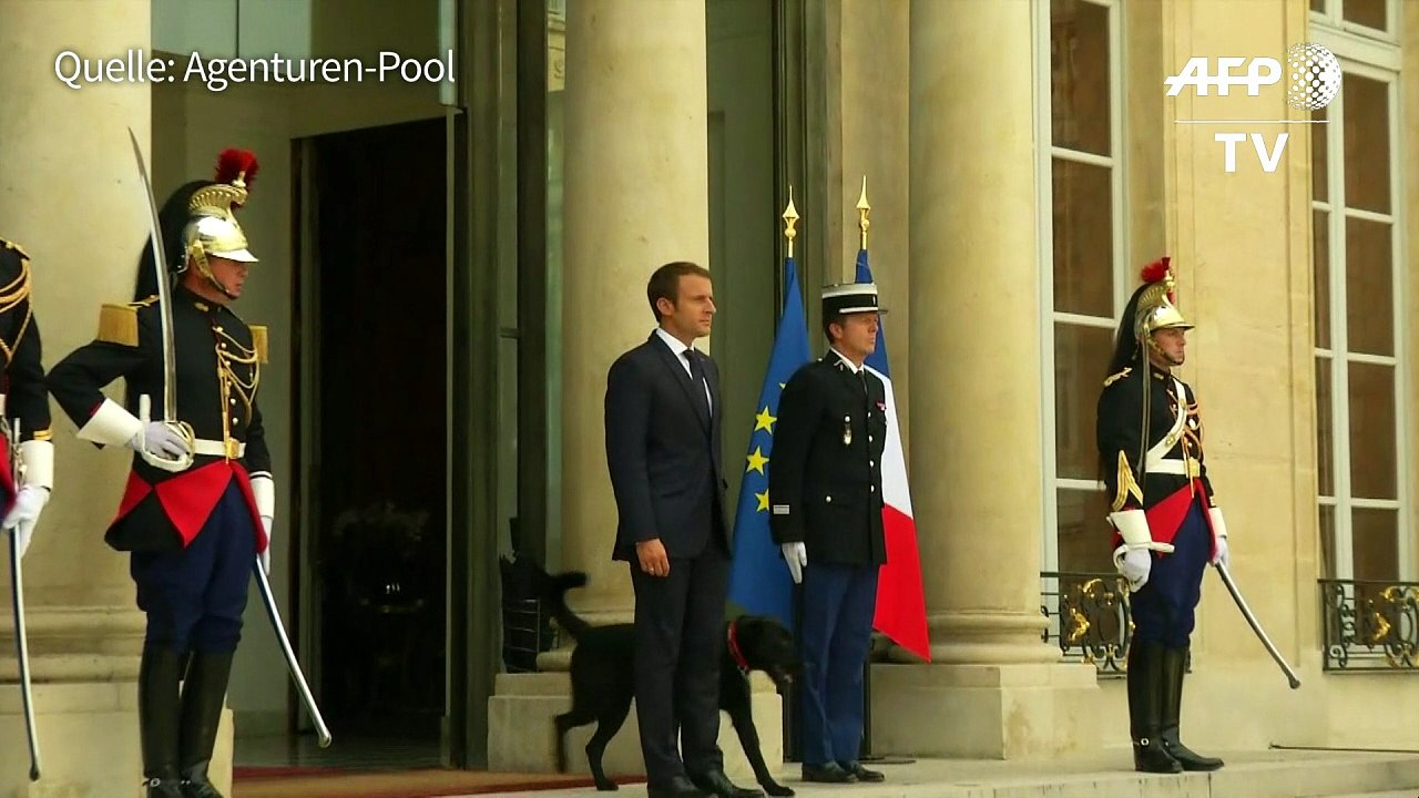 Vierbeiniger Mitbewohner für Macron