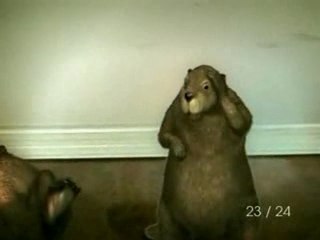 [FUNNY] Audition Castors Gays [ Goodspeed ]