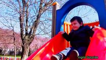 Outdoor playground for kids! Family Fun Childrens Playtime at the Park