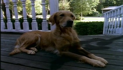 Goosebumps Season 2 Episode 13 - Monster Blood