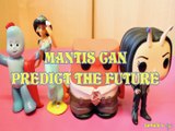 MANTIS CAN PREDICT THE FUTURE IGGLEPIGGLE PRINCESS JASMINE ANGER INSIDE OUT ALADDIN DISNEY  Toys BABY Videos, GUARDIANS