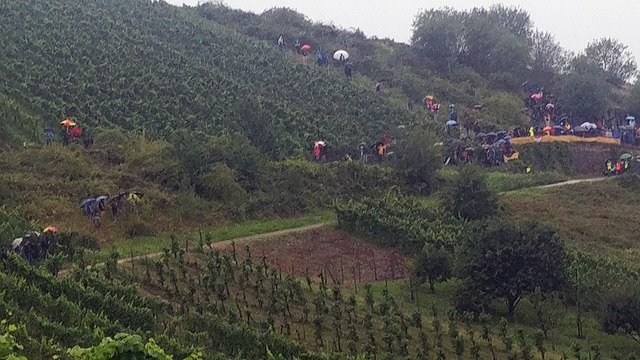 Tanak Nearly Crashes at WRC Rally in Germany