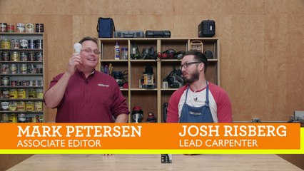 20161104 SWL Genie LED Bulb