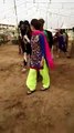 Sharmila Farooqui Buys a Huge Bull