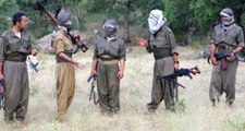 PKK'dan Vahşi İnfaz: Bekçinin Kardeşini Ağaca Bağlayıp Yaktılar