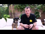 Pet Na Pan #17 - cinco dicas para ajudar cães que ficam muito tempo sozinhos