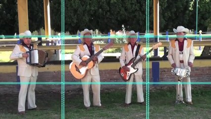 Camino De Guanajuato - Hermanos Banda De Salamanca