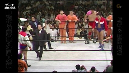 Jack Brisco vs. Jumbo Tsuruta