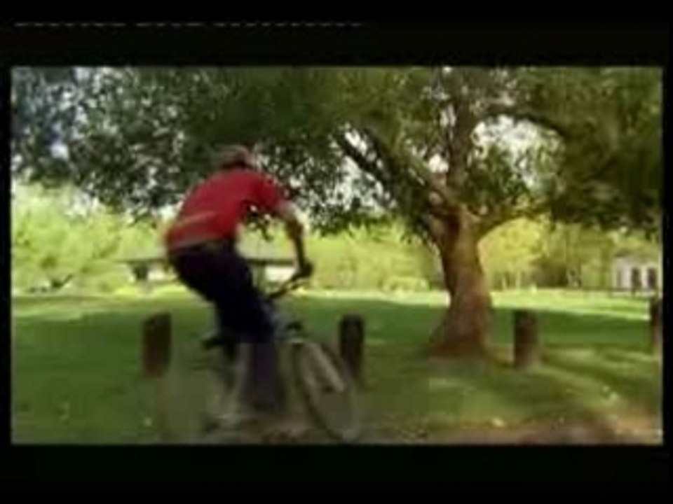 Dans la foret en vélo