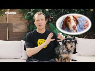 Pet Na Pan #32 - Cinco dicas pra manter a higiene do seu cão