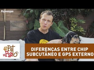 Pet na Pan #35 - Diferenças entre chip subcutâneo e GPS externo
