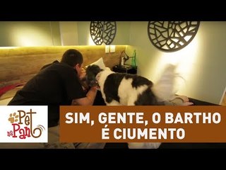 Pet na Pan #38: Sim, gente, o Bartho é ciumento! Mas não é nada agressivo