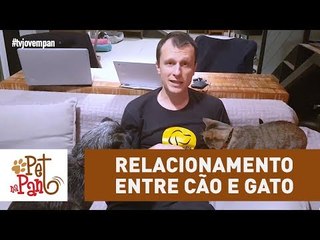 Pet Na Pan #40: Relacionamento entre cão e gato