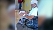 Conmovedor reencuentro: perro esperó a su dueño afuera del hospital durante 8 días