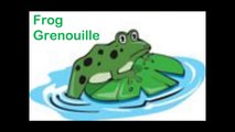 Animaux ferme français Apprendre leçon vocabulaire 95 les animaux de la fer