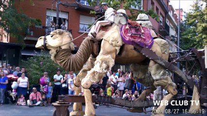 Les Folies de Binbin 2017. Et le chamôh à valenciennes