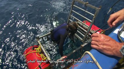 المحيطات ح7 البحر الأبيض المتوسط