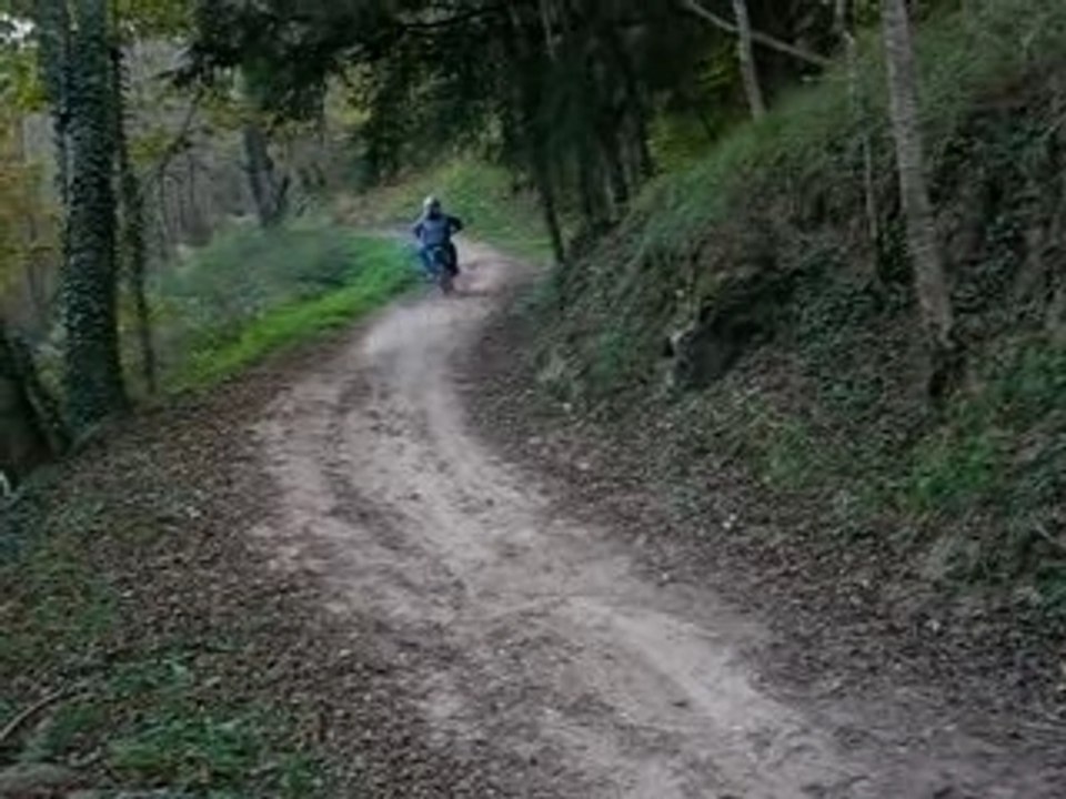 niko en 80 kx