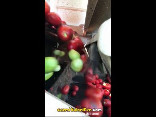 Olmamış Sebzeleri Olmuşlarından Kitleme Garantili Ayıklayan Makine