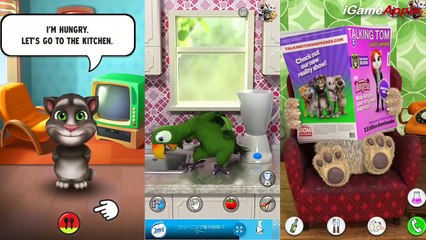 Download Video: TALKING GINGER 2 vs TALKING PIERRE THE PARROT vs TALKING BEN Game for Kids (Gameplay, Walk