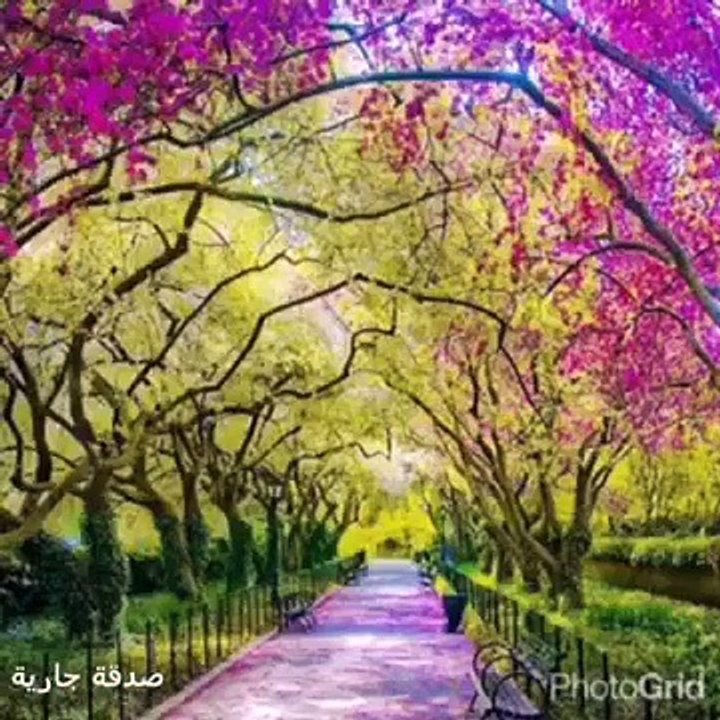 شروط سنة (2)