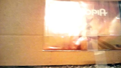 Disney's Zootopia First Showing Collectable Card