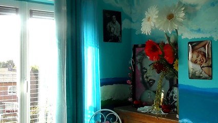 johnny hallyday  sang pour sang ..