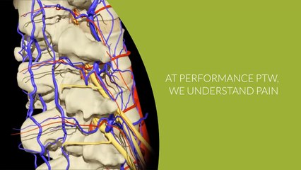 performance-physical-therapy-and-wellness