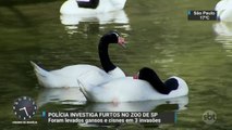 Polícia investiga furtos no Zoo de São Paulo