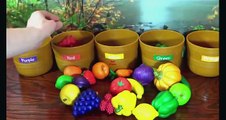 Toddler Learning Video for Kids Learn Colors Fruits & Veggies Sorting Fruits Vegetables To
