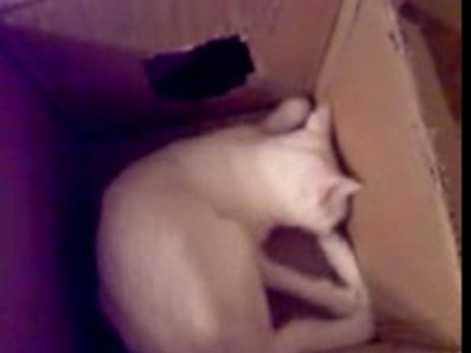 je mange ma queue car j ai faim