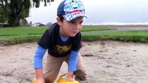 Construction for Kids: Toy Trucks Playing Digging in Mud: Bruder JCB Backhoe, Tonka Dump B