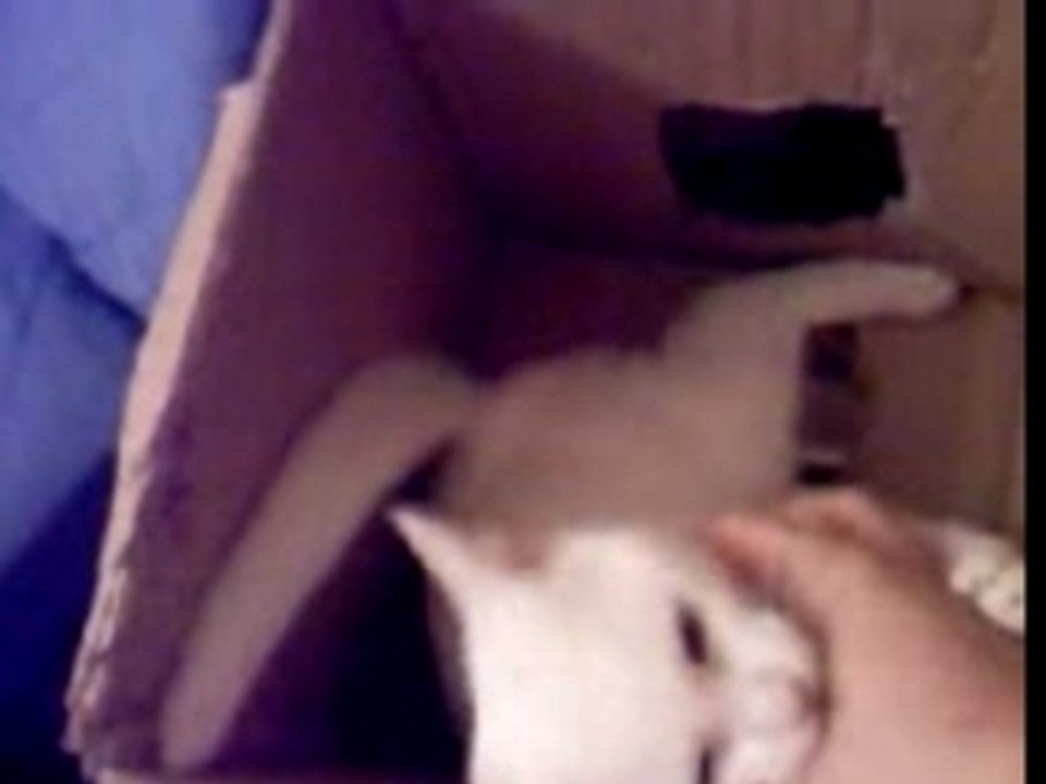 mordre calin mordre calin