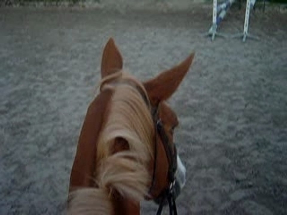 SUR ELSA