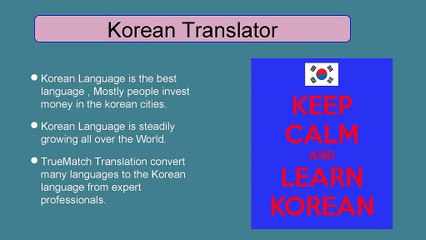 Translation company in USA