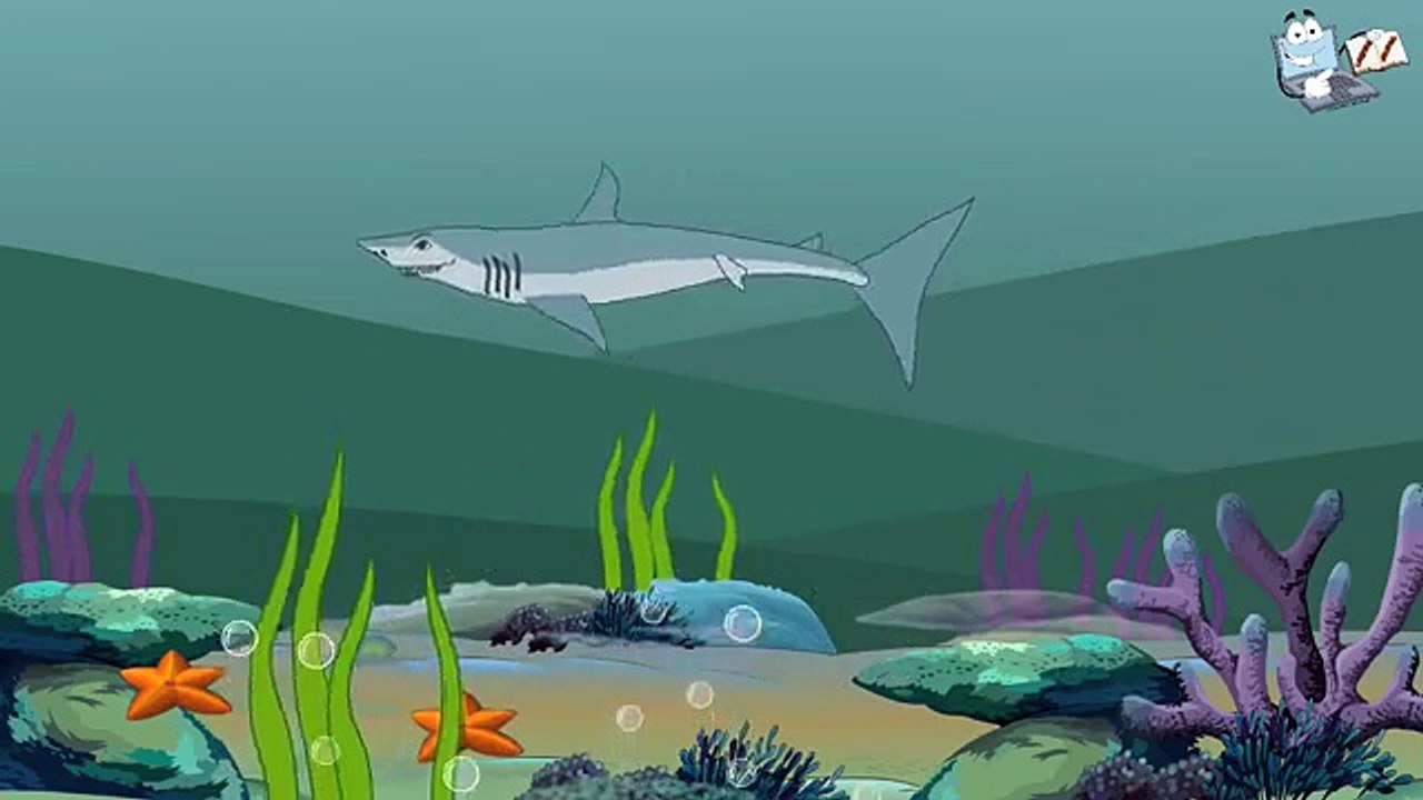 Sur tous les tous les enfants pour enfants requins vidéos École maternelle pour animaux