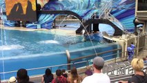 Kalias 10th Birthday One Ocean at SeaWorld San Diego (12/21/14)