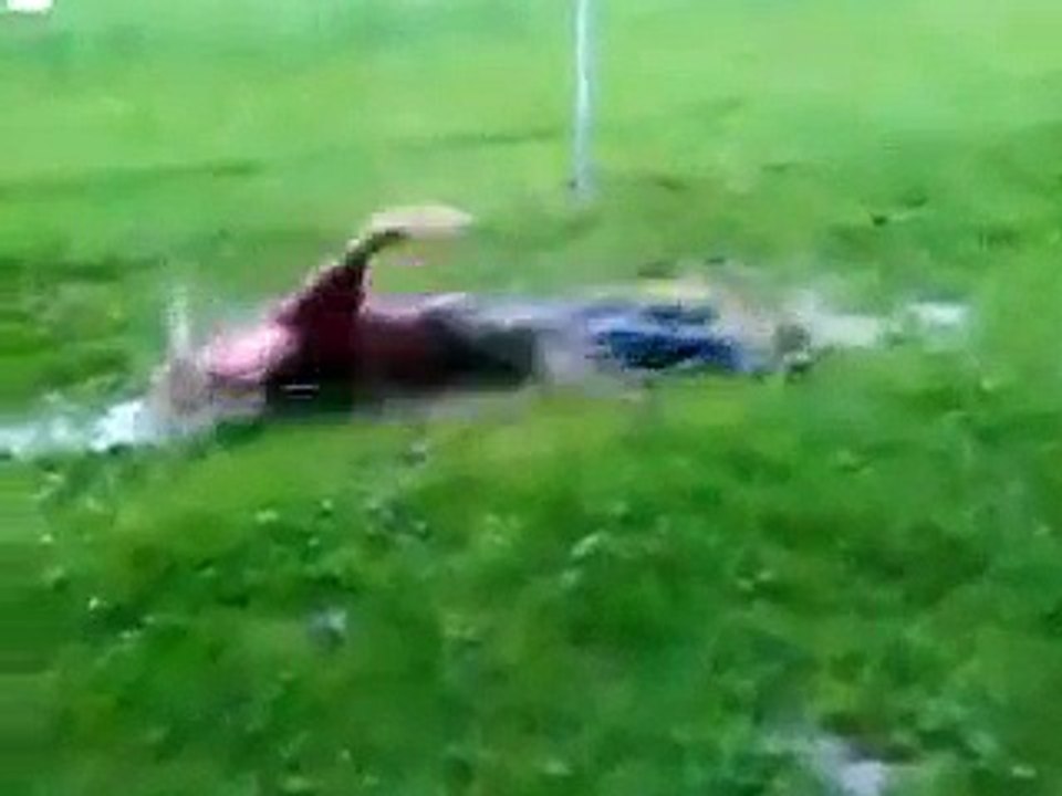 Çimenlere balıklama atlayan sazanlar