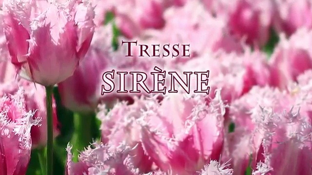 Каскад сюр Ле наливать нам Ле Это длинный Ми л