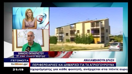 Τι λένε οι κυνηγοί για τα αγριογούρουνα