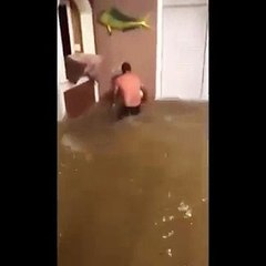 Il pêche dans sa maison inondée à Houston (Texas)