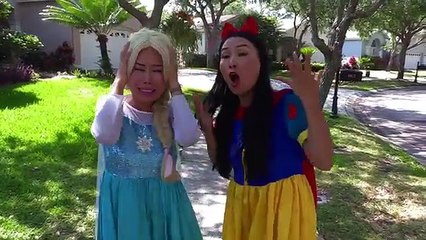 Birthday Cake Run over by Truck? w/ Frozen Elsa Baby, Snow White, Catwoman