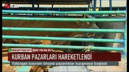 Pazarlıklar kızışmaya başladı (Haber 28 08 2017)