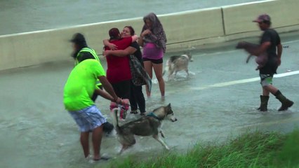 Harvey: les opérations de secours se poursuivent à Houston
