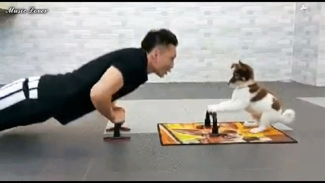 Смешные гифки. Смотри самые смешные гифки со всего интернета!21