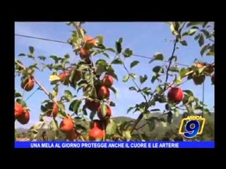 Una mela al giorno protegge anche il cuore e le arterie