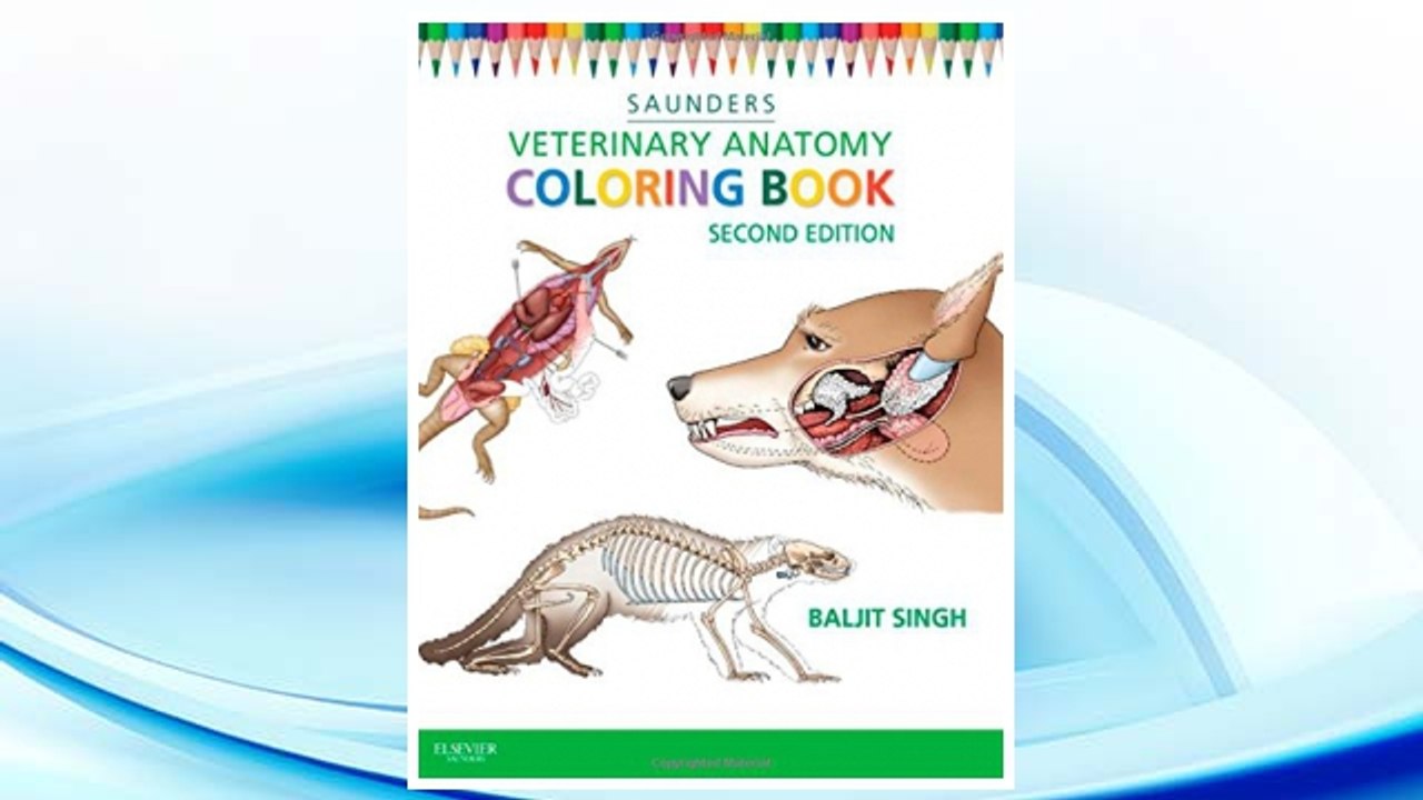 Download PDF Veterinary Anatomy Coloring Book, 2e FREE