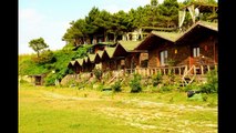 Dreamweaver Village- Ağva Otelleri | Aradığınız otel burada - pevira.com
