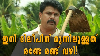 ദിലീപിന് ഇനി ചെയ്യാവുന്നത് ഇത്രമാത്രം! | Filmibeat Malayalam