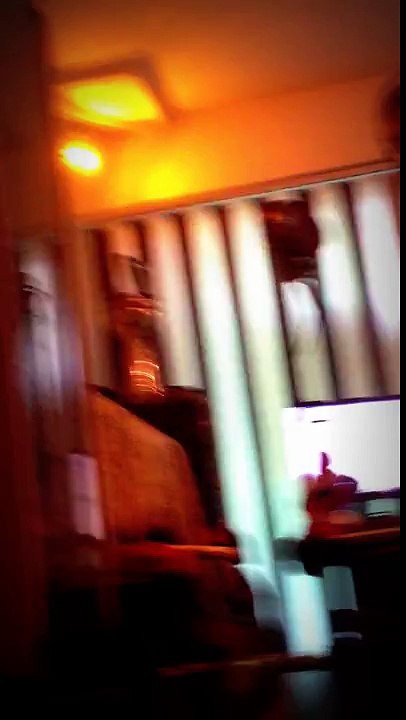KRIVIQ (Очаквайте скоро)  Studio Reflex Burgas